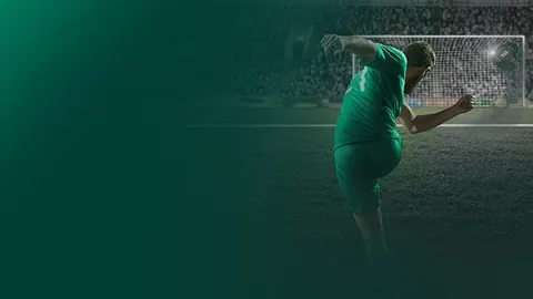 政和八闽新鸟种震惊学界，改写鸟类演化历程